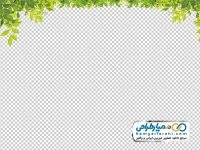 تصویر با کیفیت حاشیه برگ درخت