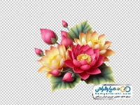 عکس وکتوری گل به همراه غنچه