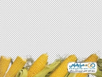 تصویر png ذرت
