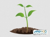 عکس png نهال گل