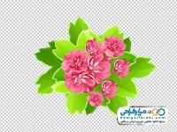 تصویر png گل های بهاری با برگ های سبز