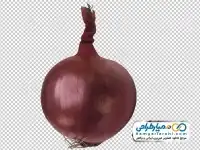 تصویر png پیاز