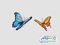 دانلود عکس وکتوری پروانه با فرمت png