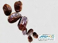 دوربری خرما