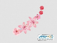عکس وکتوری گل های بهاری