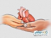 تصویر وکتوری دست در حال اهدای قلب