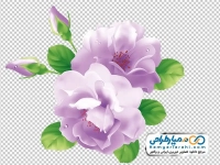 تصویر وکتوری گل یاسی