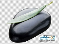 تصویر png سنگ ماساژ و برگ