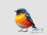 تصویر با کیفیت پرنده رنگارنگ