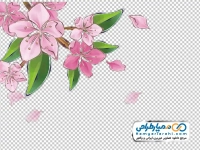 تصویر png نقاشی گل های بهاری
