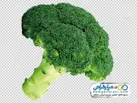 تصویر png کلم بروکلی