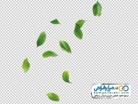 تصویر png برگ سبز