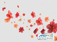 تصویر وکتوری گل های بهاری پراکنده