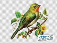 دانلود نقاشی پرنده نشسته روی شاخه