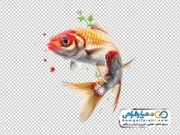 عکس وکتوری با کیفیت ماهی