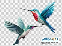 تصویر پرنده اسلیمی با فرمت png