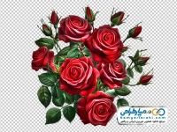 عکس وکتوری بوته گل رز قرمز