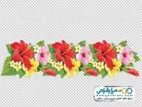 تصویر png گل ختمی قرمز و صورتی