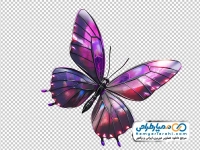 تصویر png پروانه بنفش