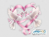عکس وکتوری کبوتران عاشق با ربان صورتی