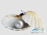 تصویر با کیفیت مروارید داخل صدف