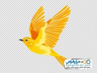دانلود نقاشی پرنده