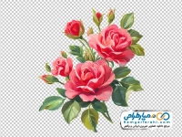تصویر وکتوری دسته گل رز آبرنگی