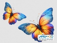 عکس با کیفیت پروانه خوشرنگ و زیبا