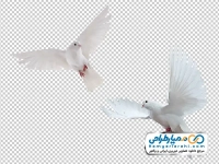 تصویر png کبوتران سفید در حال پرواز