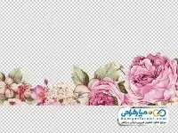 تصویر png گل