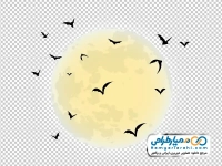 تصویر وکتوری ماه و پرنده