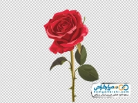تصویر وکتوری  بدون پس زمینه شاخه گل رز