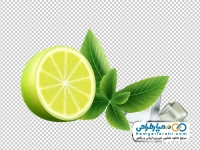 تصویر وکتوری لیمو ترش با یخ