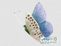 تصویر وکتوری پروانه آبرنگی