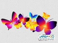 تصویر وکتوری پاشش پروانه های رنگی