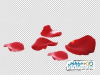 تصویر png گلبرگ های قرمز