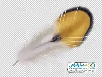 دوربری تصویر پر پرنده