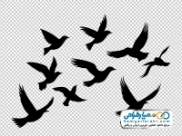 آیکون کبوتران در حال پرواز