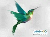 دوربری پرنده اسلیمی