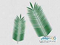 تصویر وکتوری برگ درخت نخل