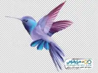 تصویر دوربری مرغ اسلیمی