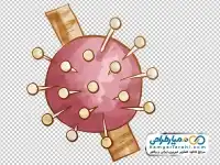 تصویر دوربری جای سوزن ته گرد