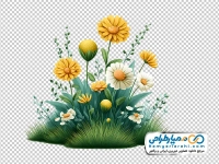 عکس وکتوری حاشیه گل های چمنی