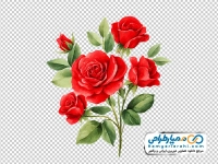 عکس وکتوری شاخه گل رز قرمز آبرنگی