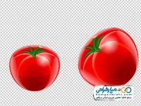 تصویر وکتوری گوجه فرنگی
