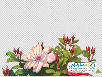 عکس وکتوری گل بوته آبرنگی