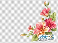 طرح png گوشه گل آبرنگی