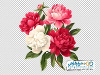 تصویر وکتوری دسته گل سفید و قرمز آبرنگی