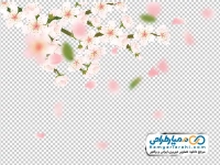 دانلود عکس png شاخه گل های بهاری