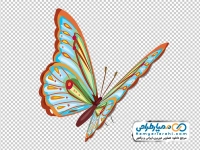 تصویر png پروانه کج